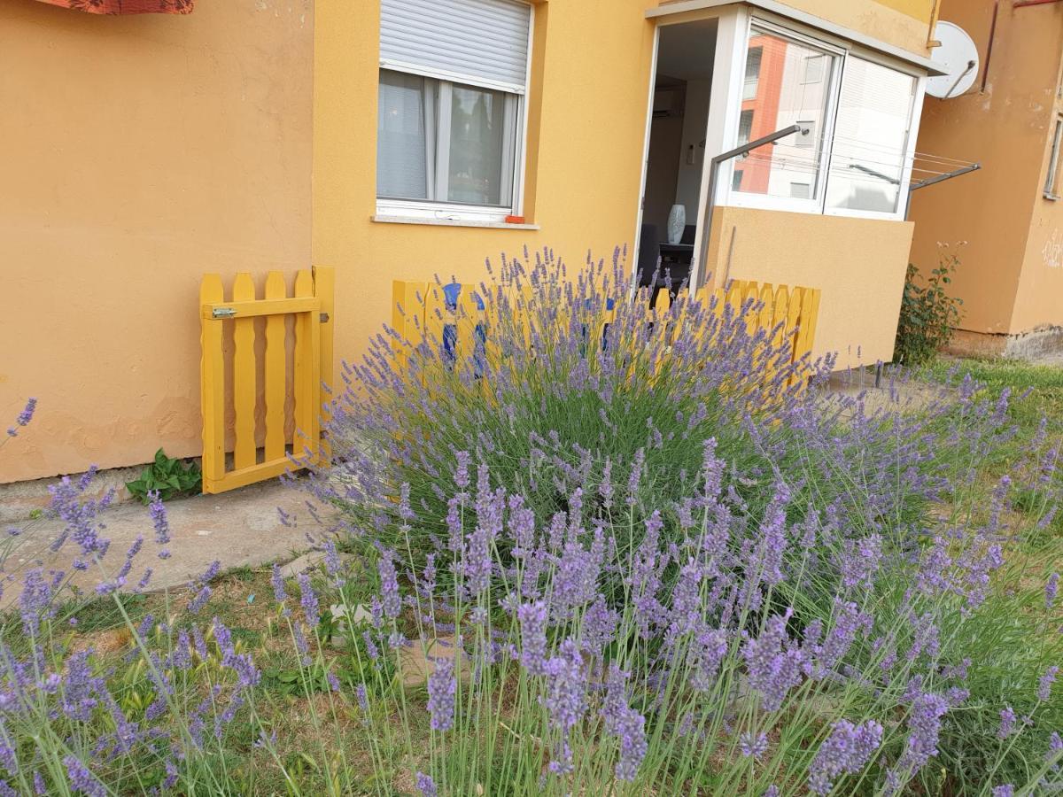 Lav Leilighet Rovinj Eksteriør bilde